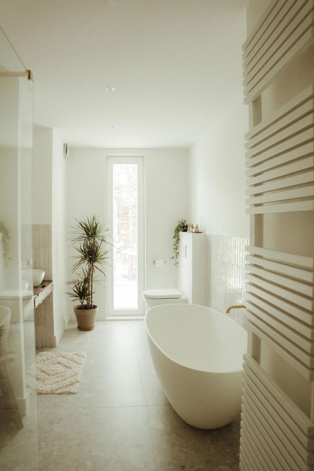 Bed and Breakfast De Wilden Ezel Mol Esterno foto