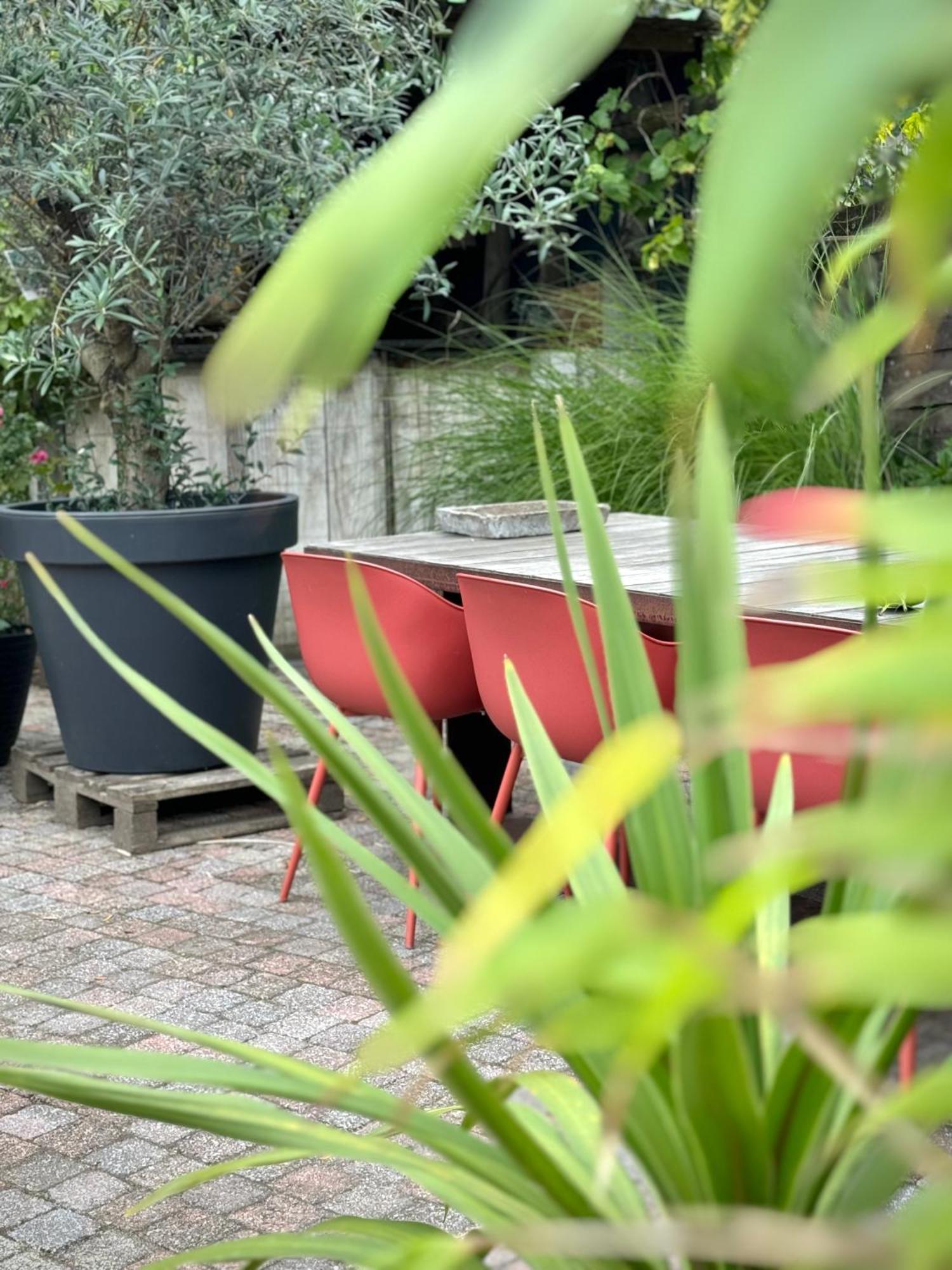 Bed and Breakfast De Wilden Ezel Mol Esterno foto