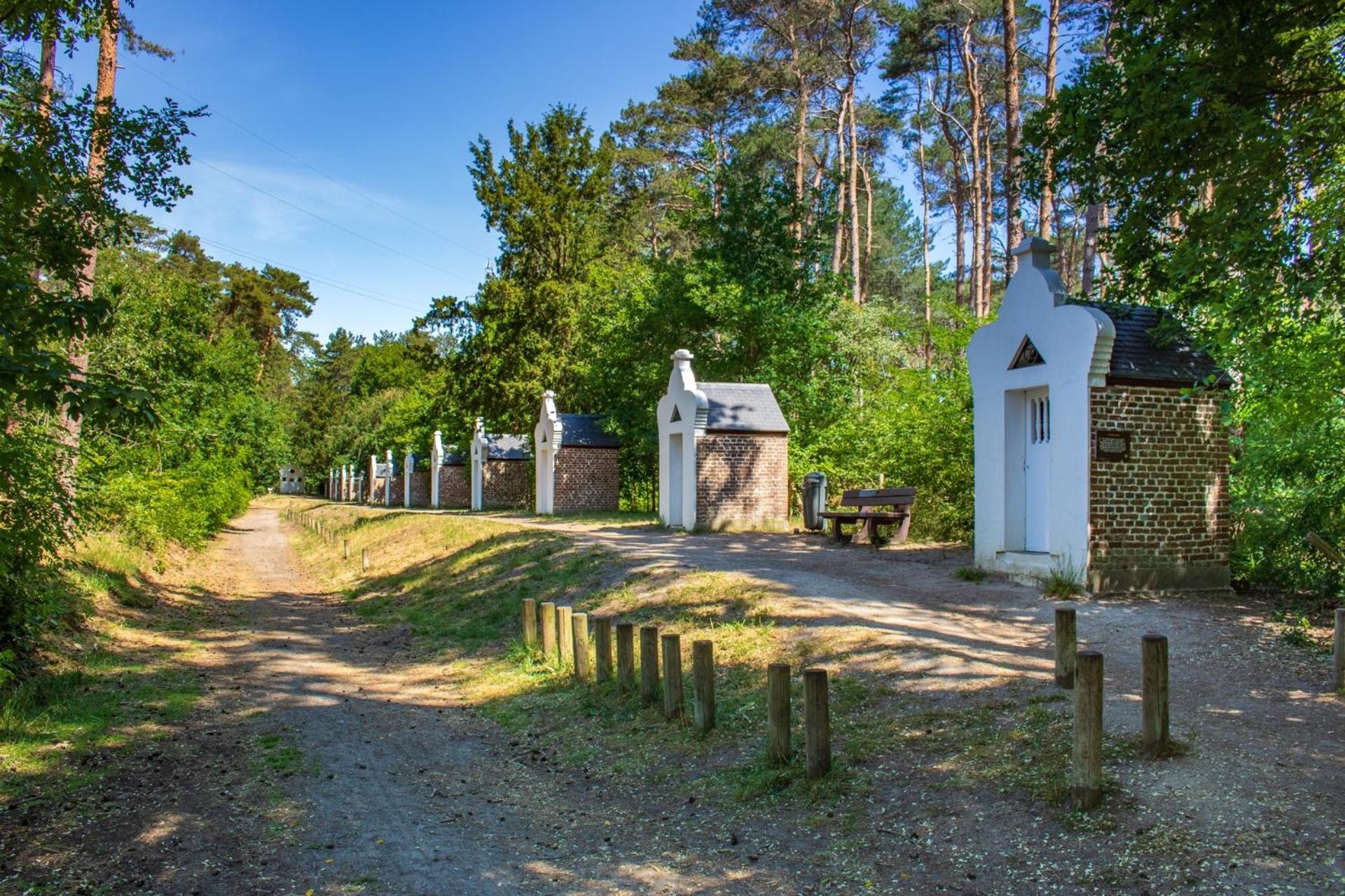 Bed and Breakfast De Wilden Ezel Mol Esterno foto