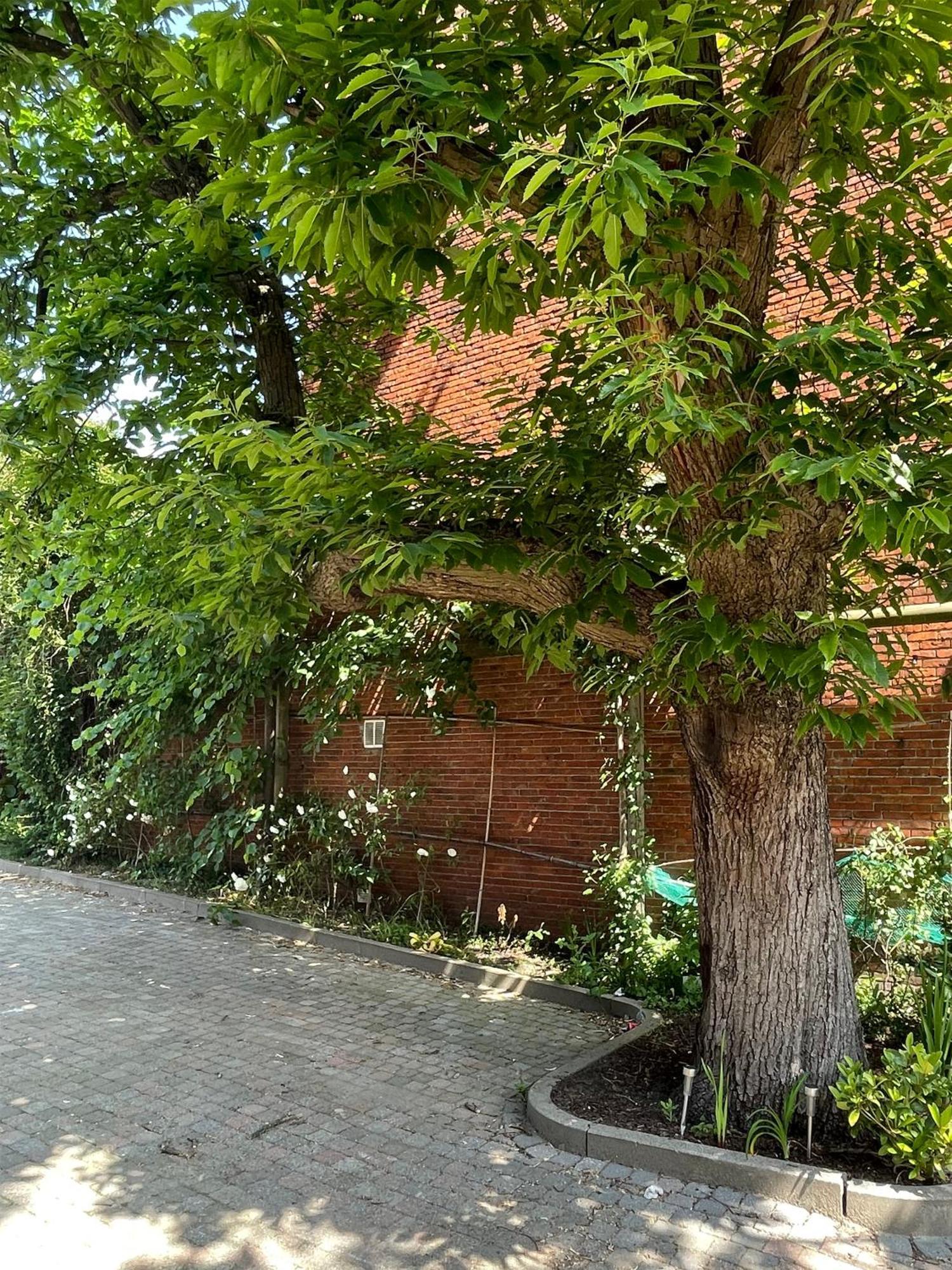 Bed and Breakfast De Wilden Ezel Mol Esterno foto